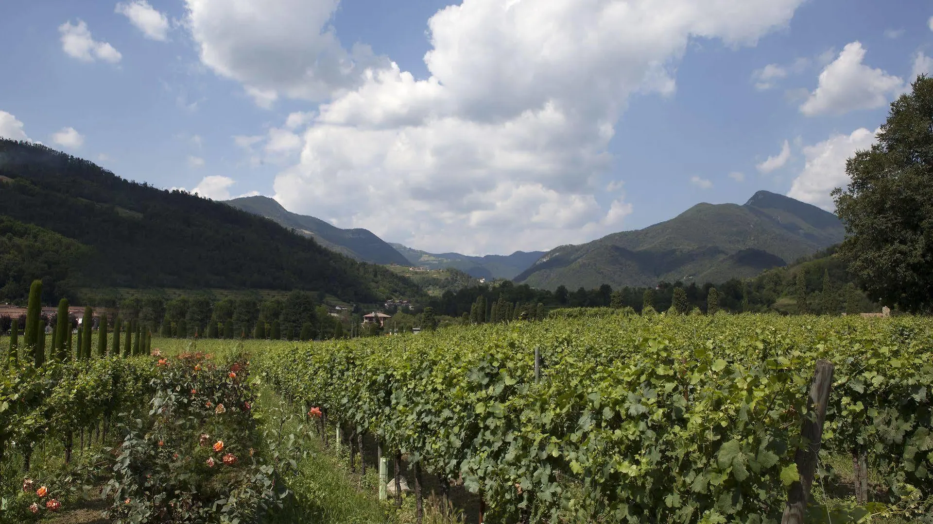 Podere Castel Merlo Resort Villongo SantʼAlessandro